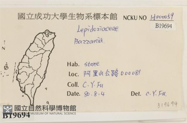 登錄號:B00019694藏品圖，第2張