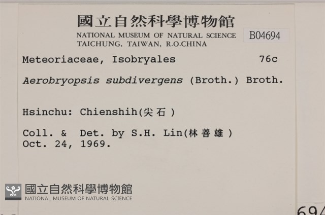 大灰氣蘚藏品圖，第2張