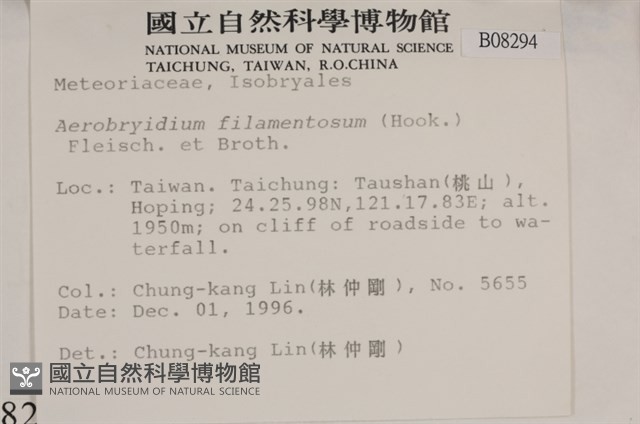 毛扭蘚藏品圖，第2張