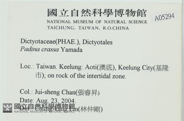 登錄號:A00005294藏品圖，第2張