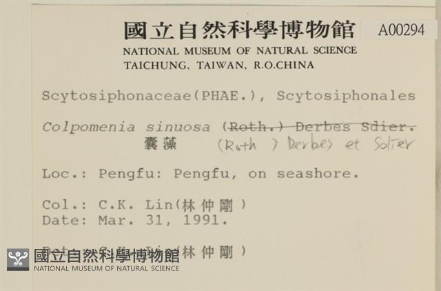 袋苔, 囊藻藏品圖，第2張