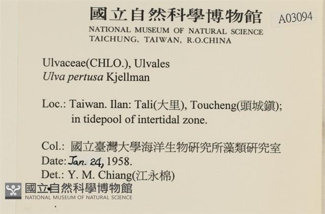 石蓴藏品圖，第2張