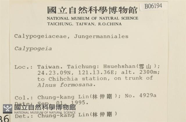 登錄號:B00006194藏品圖，第2張