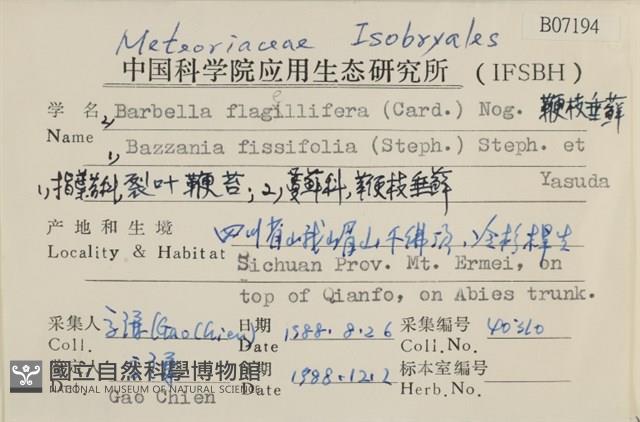 鞭枝懸蘚藏品圖，第2張