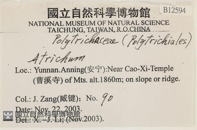 登錄號:B00012594藏品圖，第2張