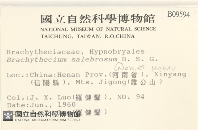 褶葉青蘚藏品圖，第2張