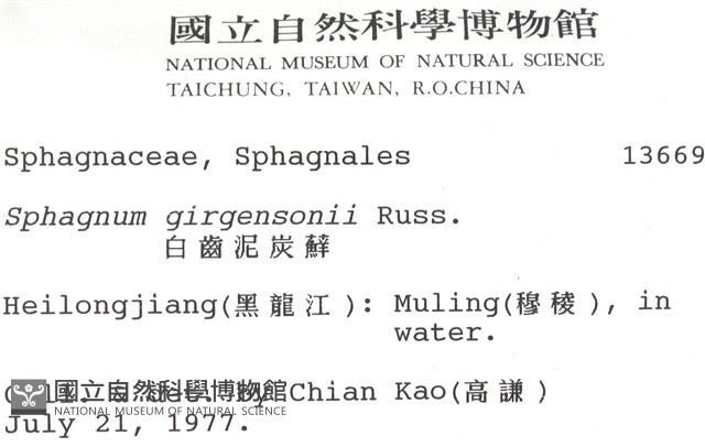 白齒泥炭蘚藏品圖，第2張