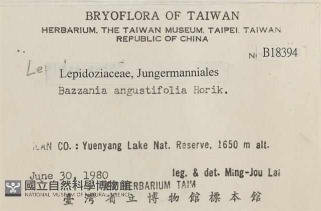 登錄號:B00018394藏品圖，第2張