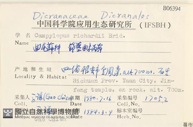 節莖曲柄蘚藏品圖，第2張