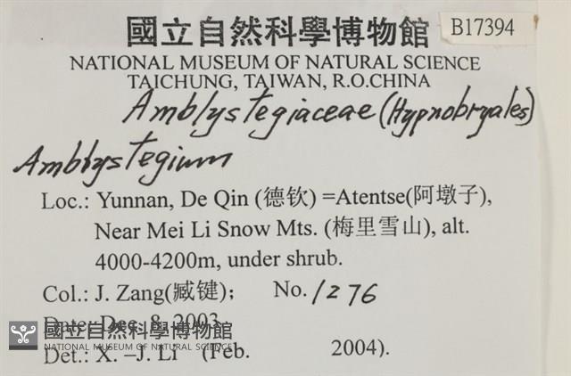 登錄號:B00017394藏品圖，第2張