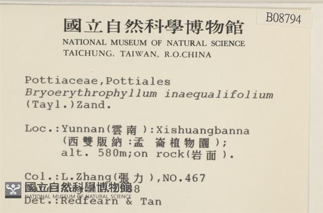 登錄號:B00008794藏品圖，第2張