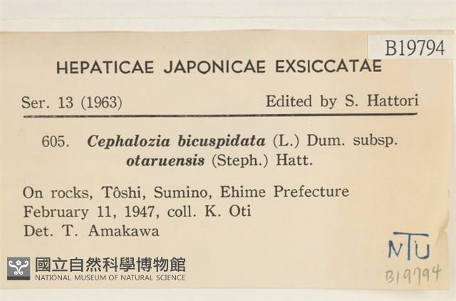 登錄號:B00019794藏品圖，第2張