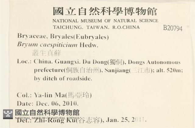 叢生真蘚藏品圖，第2張