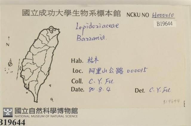 登錄號:B00019644藏品圖，第2張