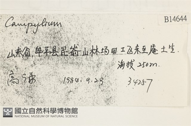 登錄號:B00014644藏品圖，第2張