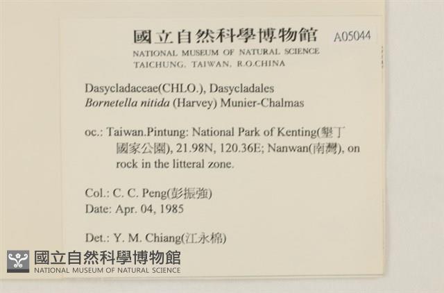 登錄號:A00005044藏品圖，第2張
