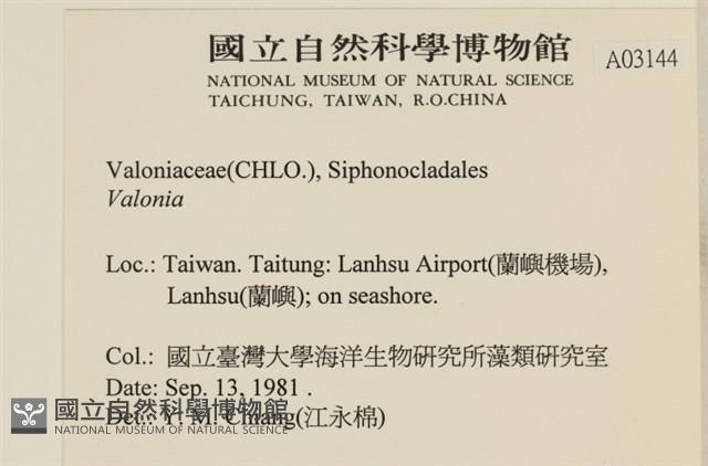 登錄號:A00003144藏品圖，第2張