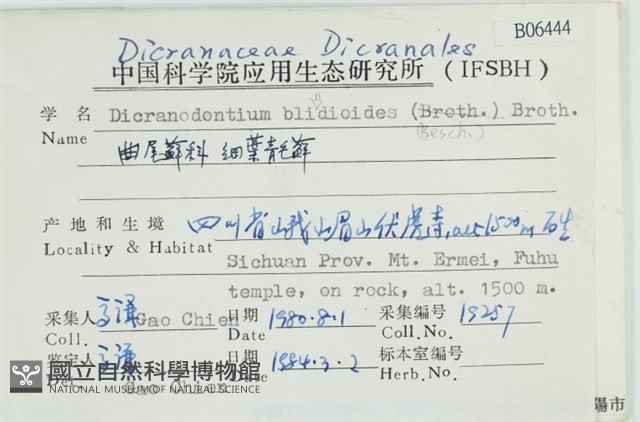 細葉青毛蘚藏品圖，第2張