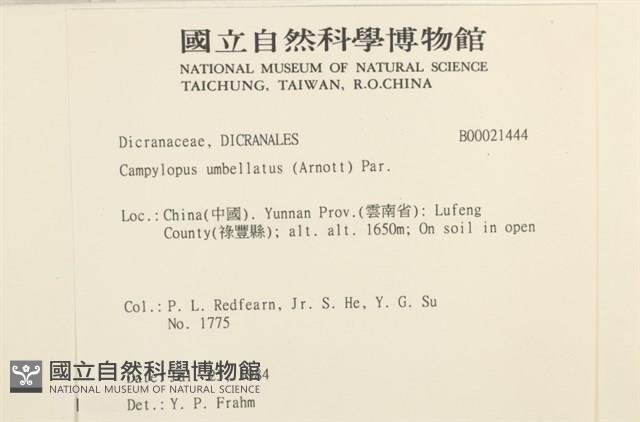 登錄號:B00021444藏品圖，第2張