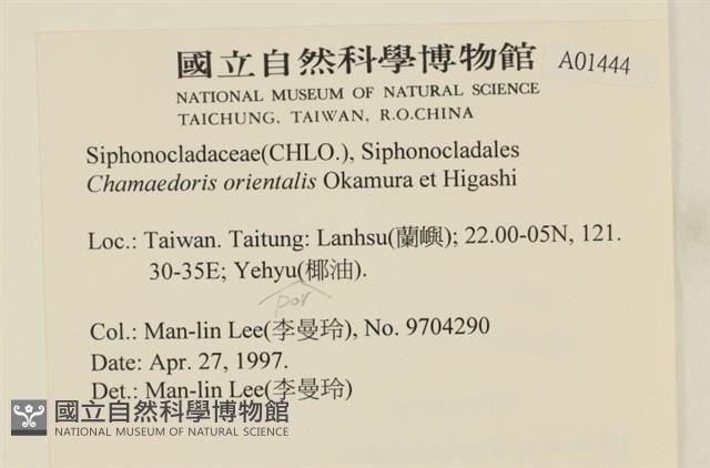 登錄號:A00001444藏品圖，第2張