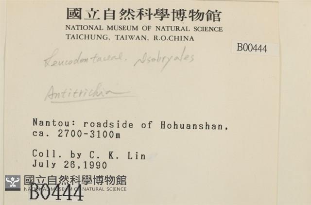 登錄號:B00000444藏品圖，第2張