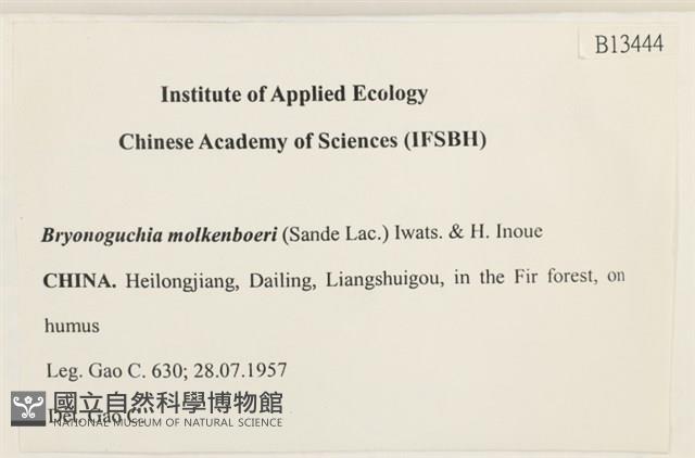 毛羽蘚藏品圖，第2張