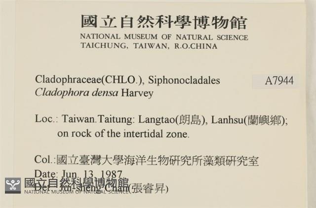 登錄號:A00007944藏品圖，第2張