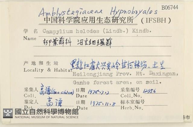 沼生細濕蘚藏品圖，第2張