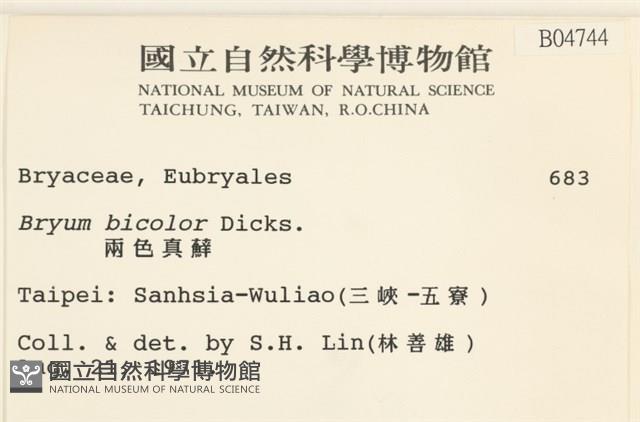 兩色真蘚藏品圖，第2張