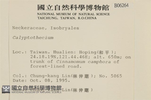 登錄號:B00006264藏品圖，第2張