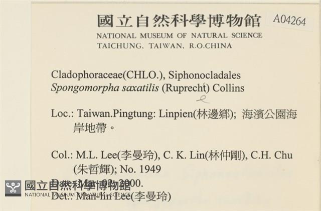 登錄號:A00004264藏品圖，第2張