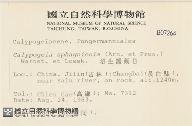 沼生護蒴苔藏品圖，第2張