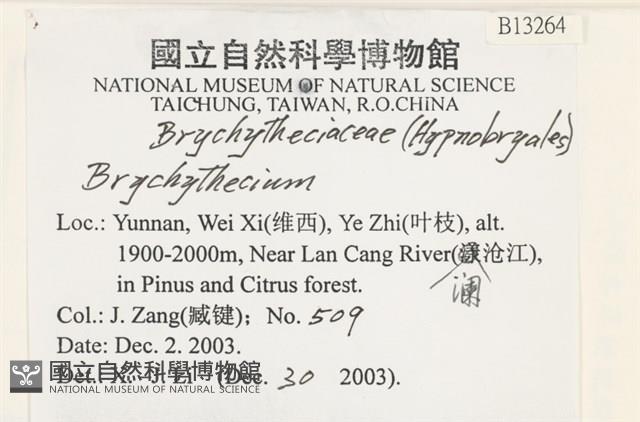 登錄號:B00013264藏品圖，第2張