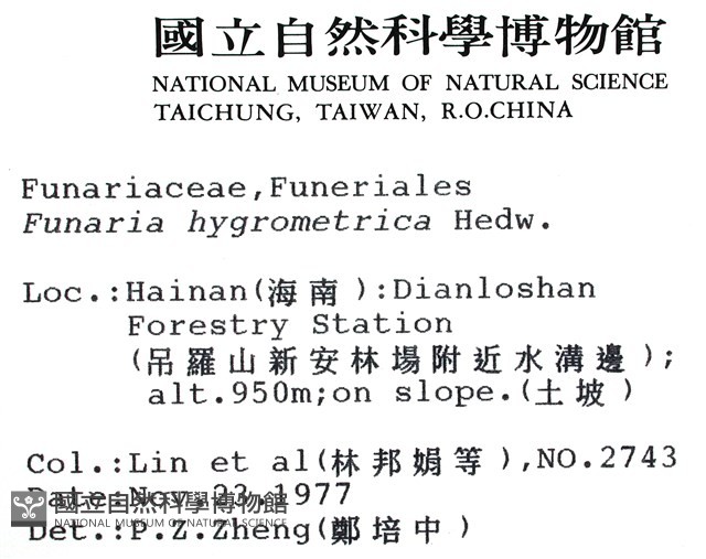 葫蘆蘚藏品圖，第2張