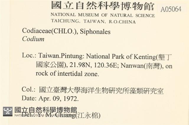 登錄號:A00005064藏品圖，第2張