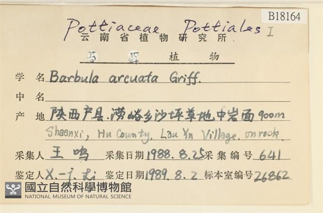 登錄號:B00018164藏品圖，第2張
