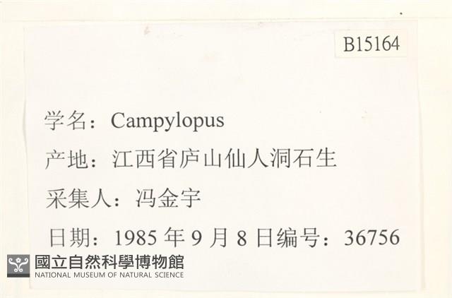 登錄號:B00015164藏品圖，第2張