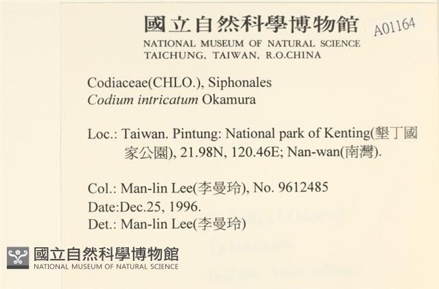 登錄號:A00001164藏品圖，第2張