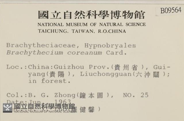 登錄號:B00009564藏品圖，第2張