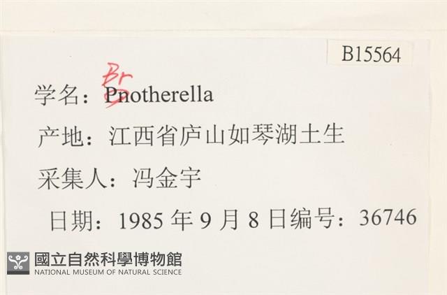 登錄號:B00015564藏品圖，第2張