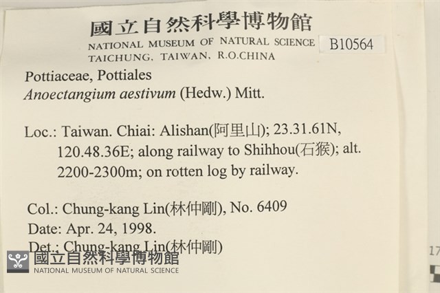 登錄號:B00010564藏品圖，第2張