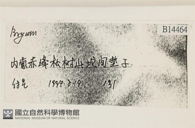 登錄號:B00014464藏品圖，第2張