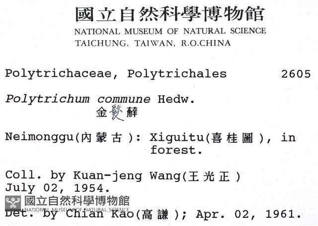金髮蘚藏品圖，第2張