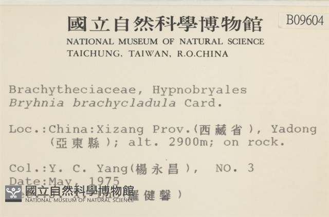 登錄號:B00009604藏品圖，第2張