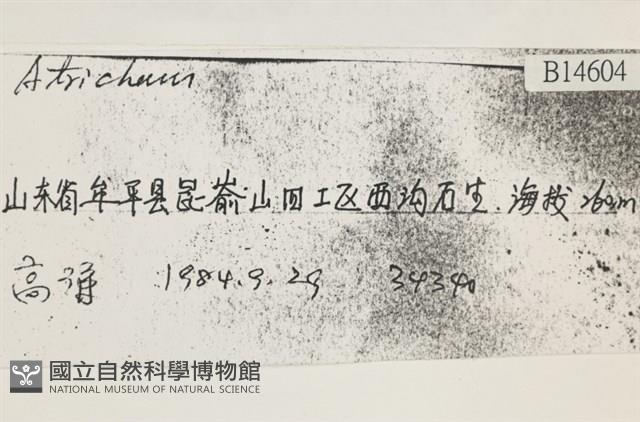 登錄號:B00014604藏品圖，第2張