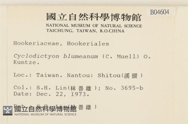 登錄號:B00004604藏品圖，第2張