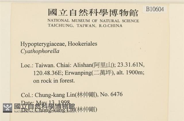 登錄號:B00010604藏品圖，第2張