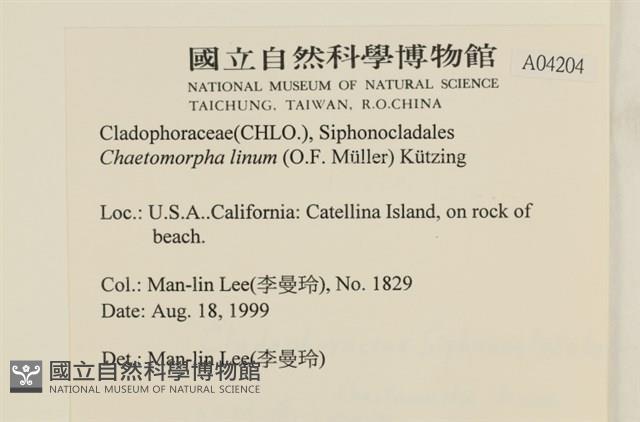 登錄號:A00004204藏品圖，第2張