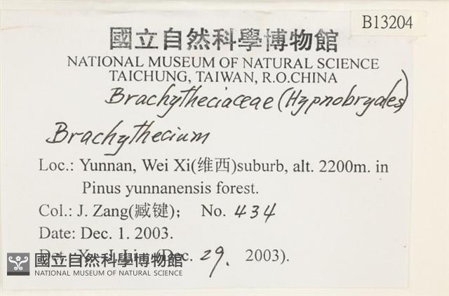 登錄號:B00013204藏品圖，第2張