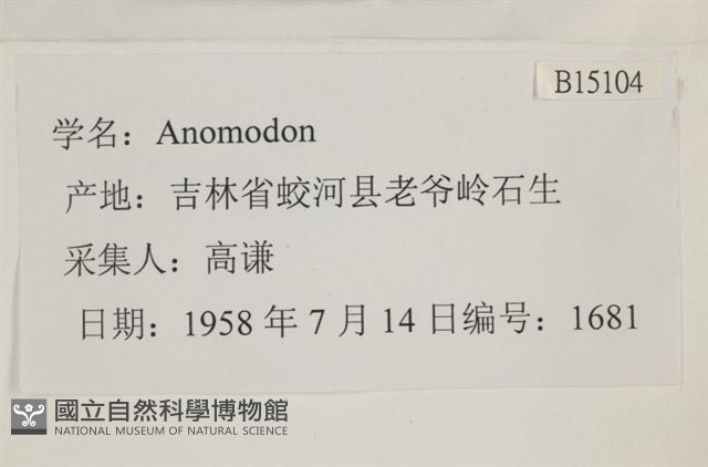 登錄號:B00015104藏品圖，第2張